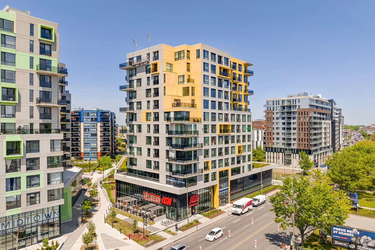 Vue Phase 6 — 2
